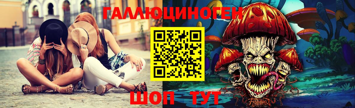 Псилоцибиновые грибы Psilocybe Гуково