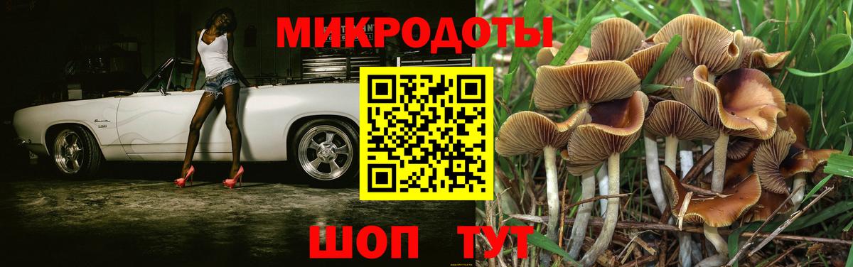 Галлюциногенные грибы GOLDEN TEACHER  Вход с VPN  Гуково 